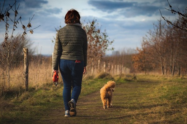 How Can Dog Walking Regularly Influence Cardiovascular Health and Social Connection?